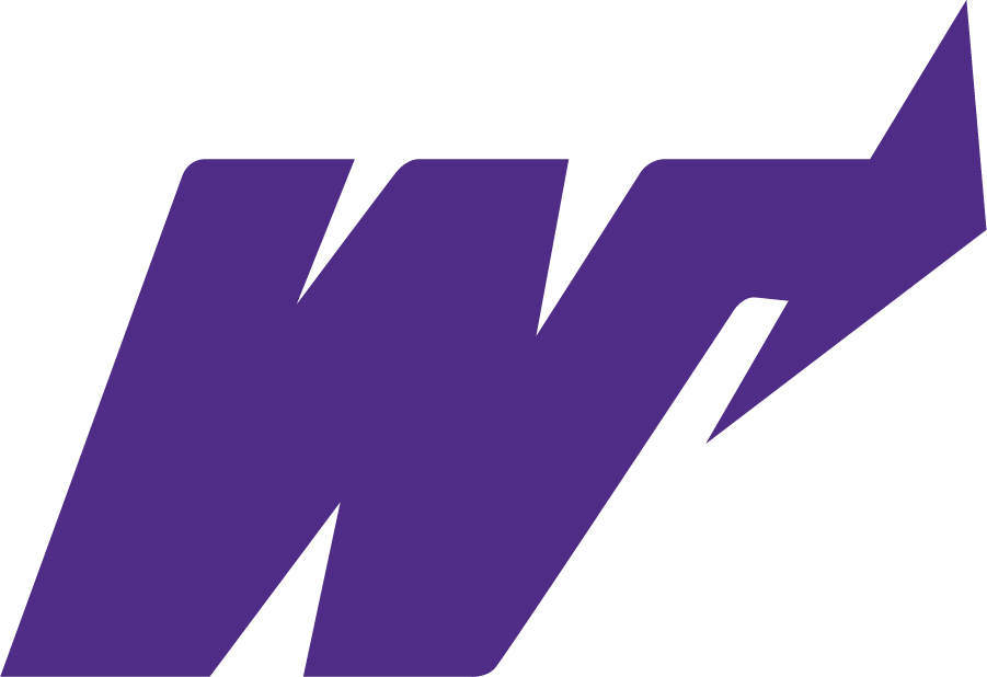Weber State Wildcats 1973-1996 Primary Logo iron on transfers for clothing